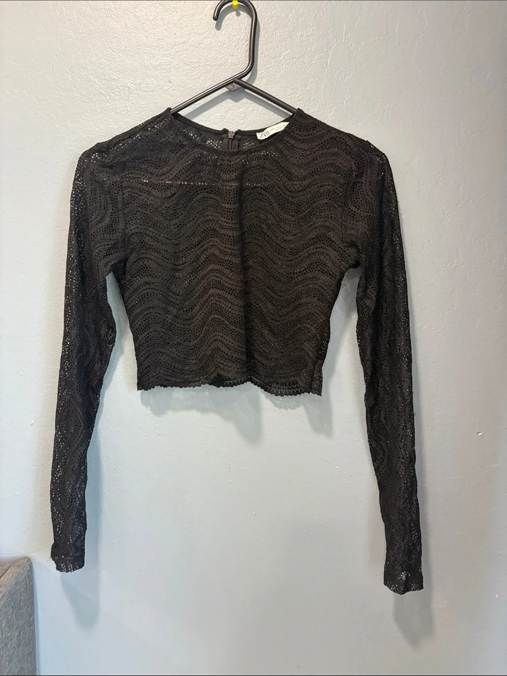 Zara Black Lace Long-Sleeve Cropped Top